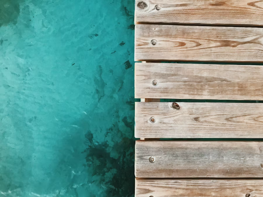 birdseye view of a closeup of a dock edge and body of water