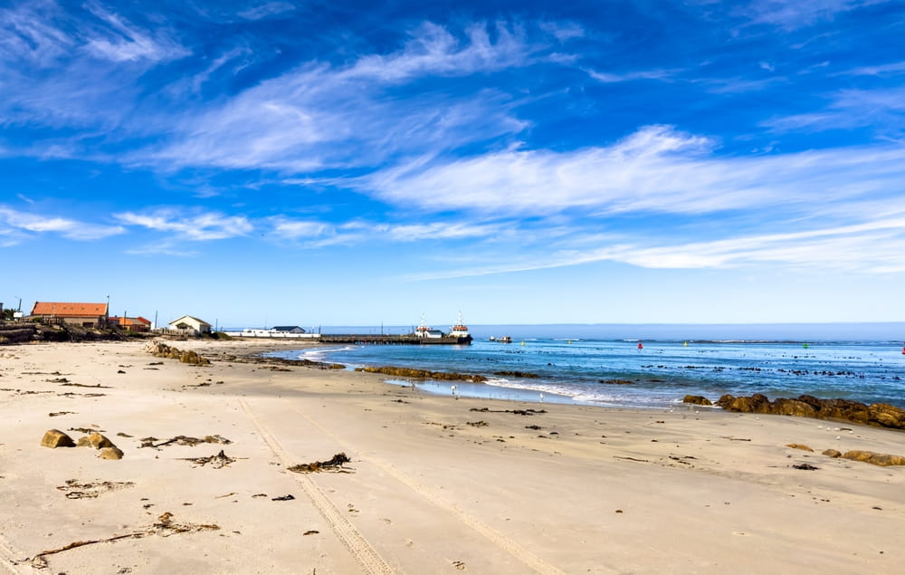 beachfront shorline west coast