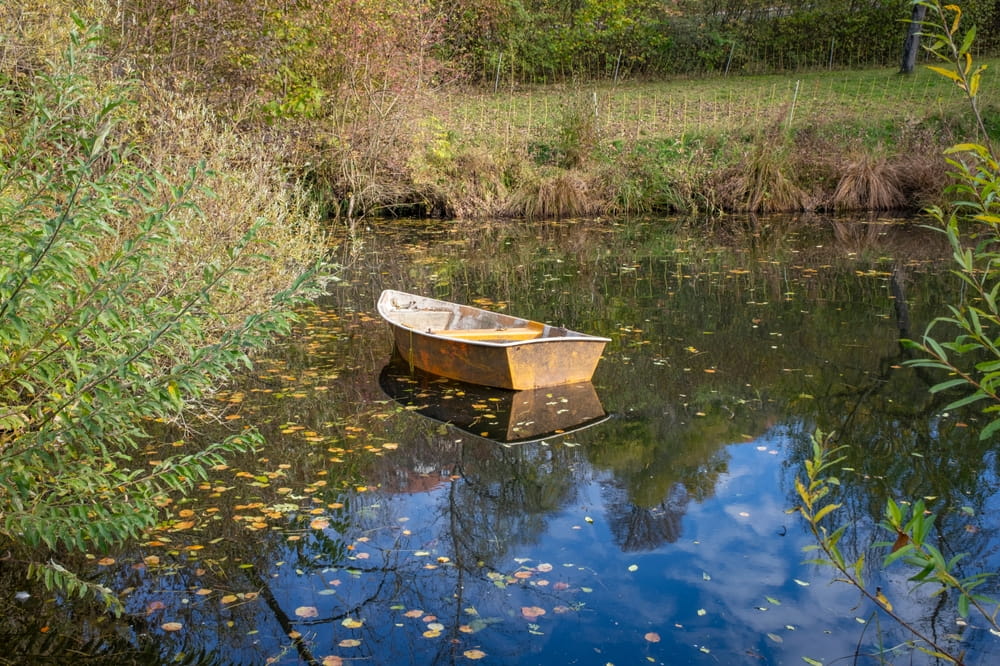 small, wooden boat on a farm pond